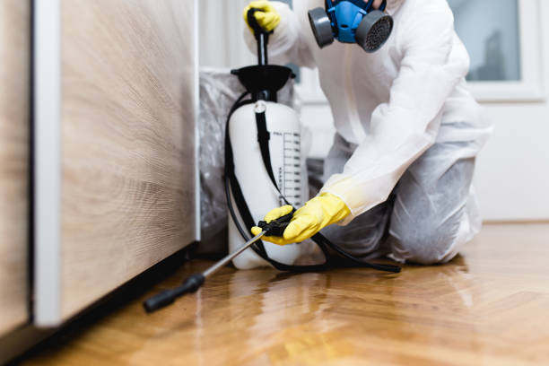 Best Best Pest Control Companies  in Mount Healthy Heights, OH