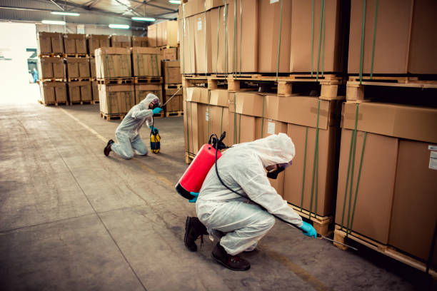 Best Bed Bug Extermination  in Mount Healthy Heights, OH