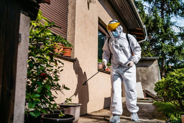 Bird Control in Mount Healthy Heights, OH