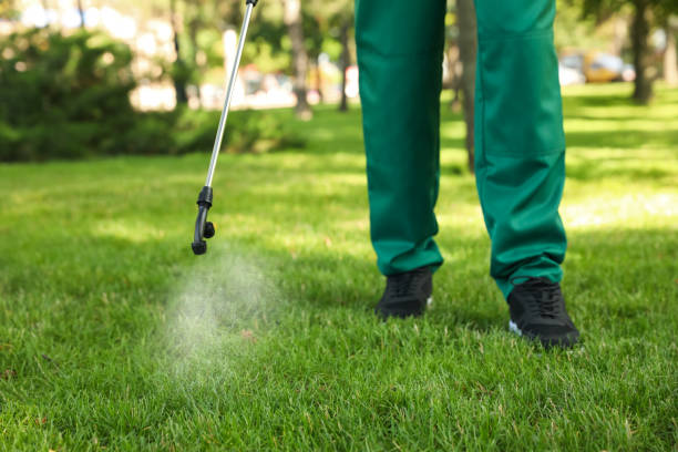Best Affordable Pest Control Services  in Mount Healthy Heights, OH