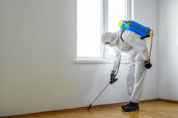 Best Best Pest Control Companies  in Mount Healthy Heights, OH