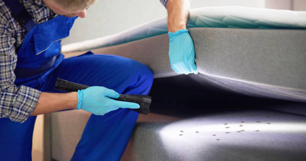 Best Emergency Pest Control  in Mount Healthy Heights, OH