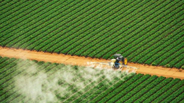Best Ant Control Services  in Mount Healthy Heights, OH