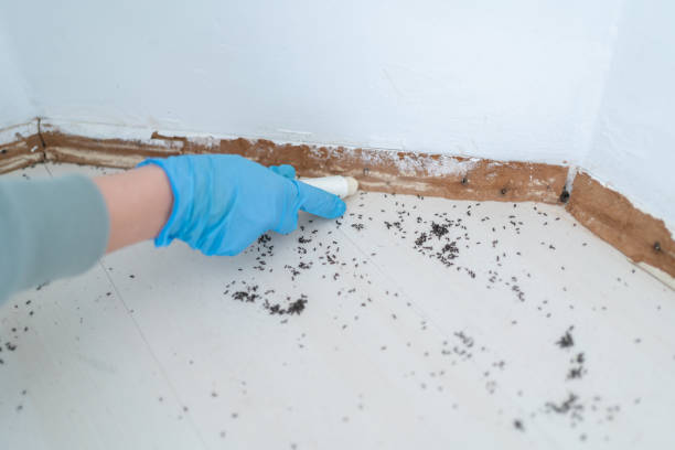 Best Wildlife Control Services  in Mount Healthy Heights, OH