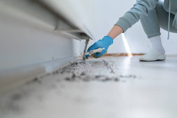 Pest Prevention Services in Mount Healthy Heights, OH