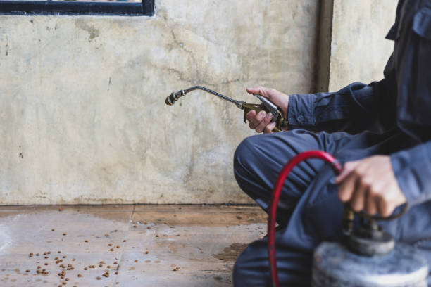Wasp Removal Services in Mount Healthy Heights, OH